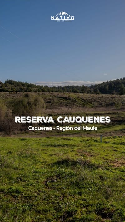 Proyecto de Parcelas Reserva Cauquenes , Inmobiliaria Soy Nativo
