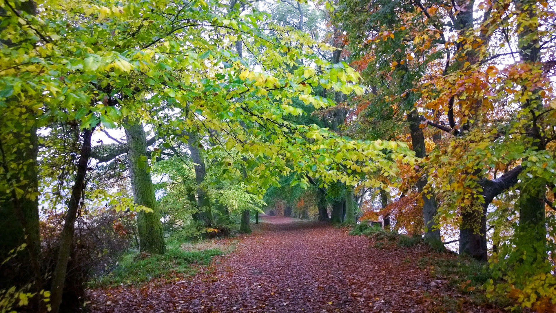 Footpaths