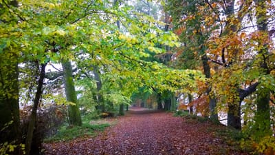 Footpaths around East Down and beyond