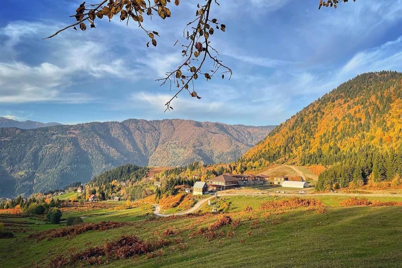 ЛЁГКИЙ ХАЙКИНГ В ГОМАРДУЛИ – 14 ИЮЛЯ