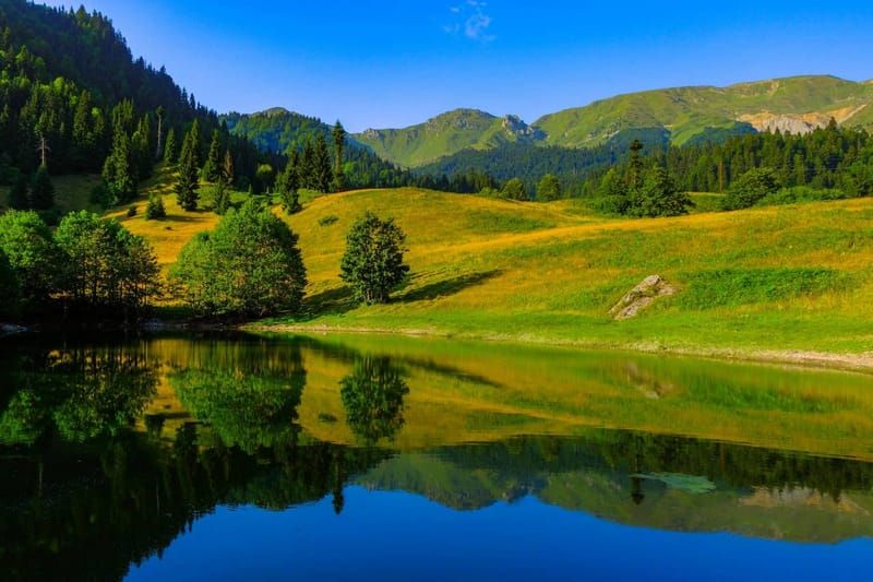 ПИКНИК НА ОЗЕРЕ ЛЕЛТИ — 17 МАЯ