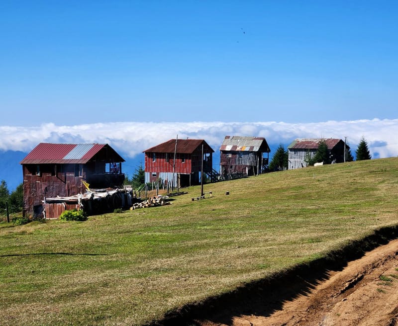 ХАЙКИНГ ДО ГОРЫ ДИДВАКЕ – 25 МАЯ