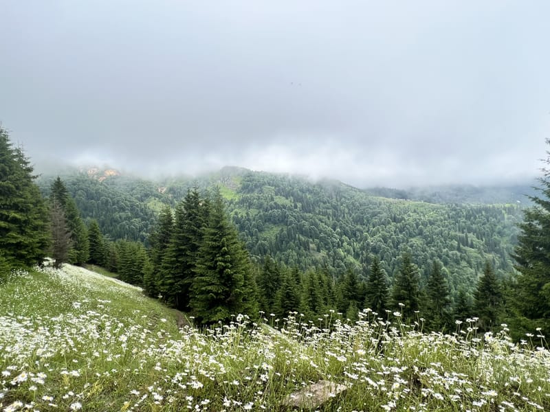 СРЕДНИЙ ХАЙКИНГ НА ГОРУ КОСЛАТАВИ | АВТОРСКИЙ МАРШРУТ |15 ИЮНЯ