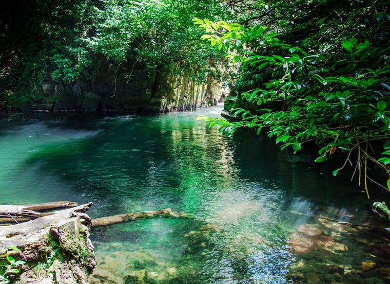 СКВОЗЬ ДЖУНГЛИ - МТИРАЛА ДРЕВНИЙ ДОМИК + ОЗЕРО - 20 ИЮЛЯ