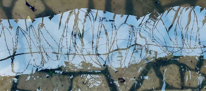 Prof. Dr. Syeda Farida Batool