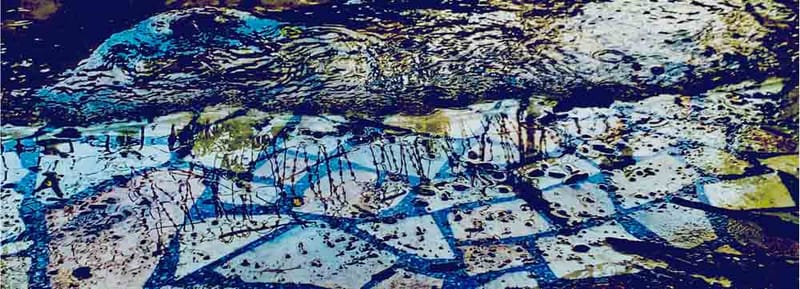 Prof. Dr. Syeda Farida Batool