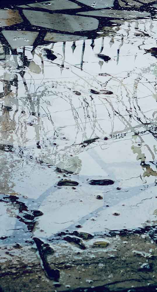 Prof. Dr. Syeda Farida Batool