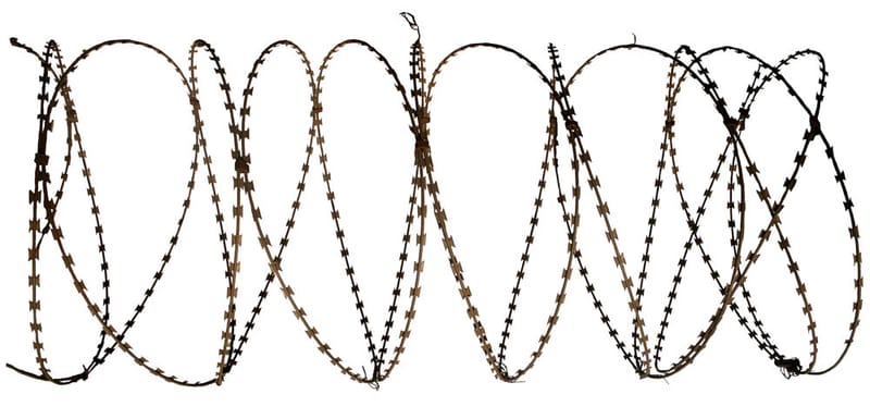 Prof. Dr. Syeda Farida Batool