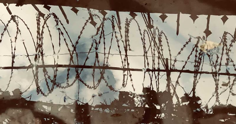 Prof. Dr. Syeda Farida Batool