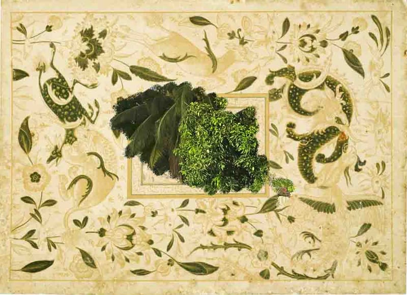 Saamia Ahmed Vine: Preserving Heritage, Inspiring Contemporary Practice