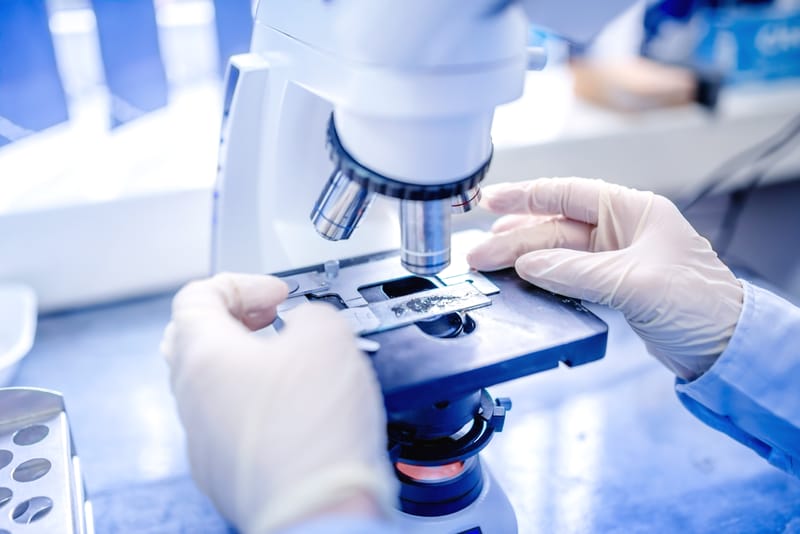 Forensic Evidence Collection and Analysis