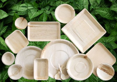 Eco-Friendly Disposable Plates: A Sustainable Choice for Every Occasion