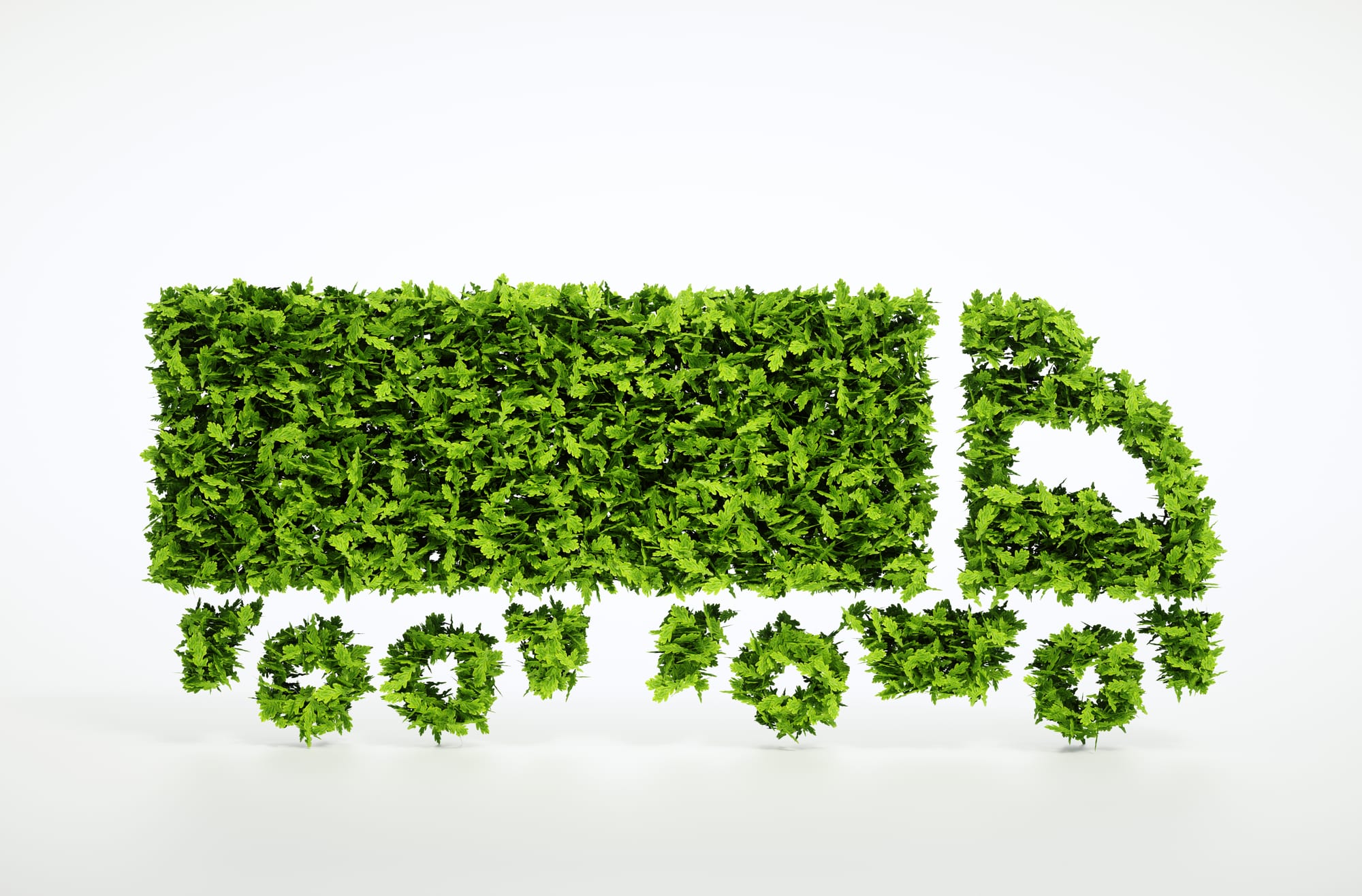 5.8 ENVIRONMENTAL MANAGEMENT