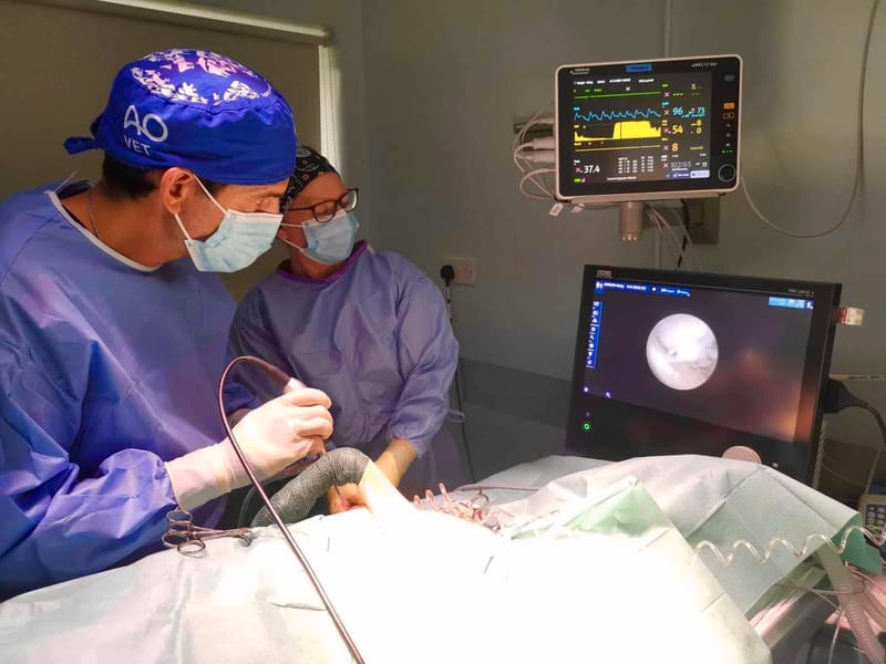 ARTHROSCOPY