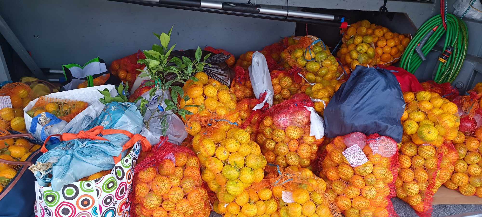 MANDARINE