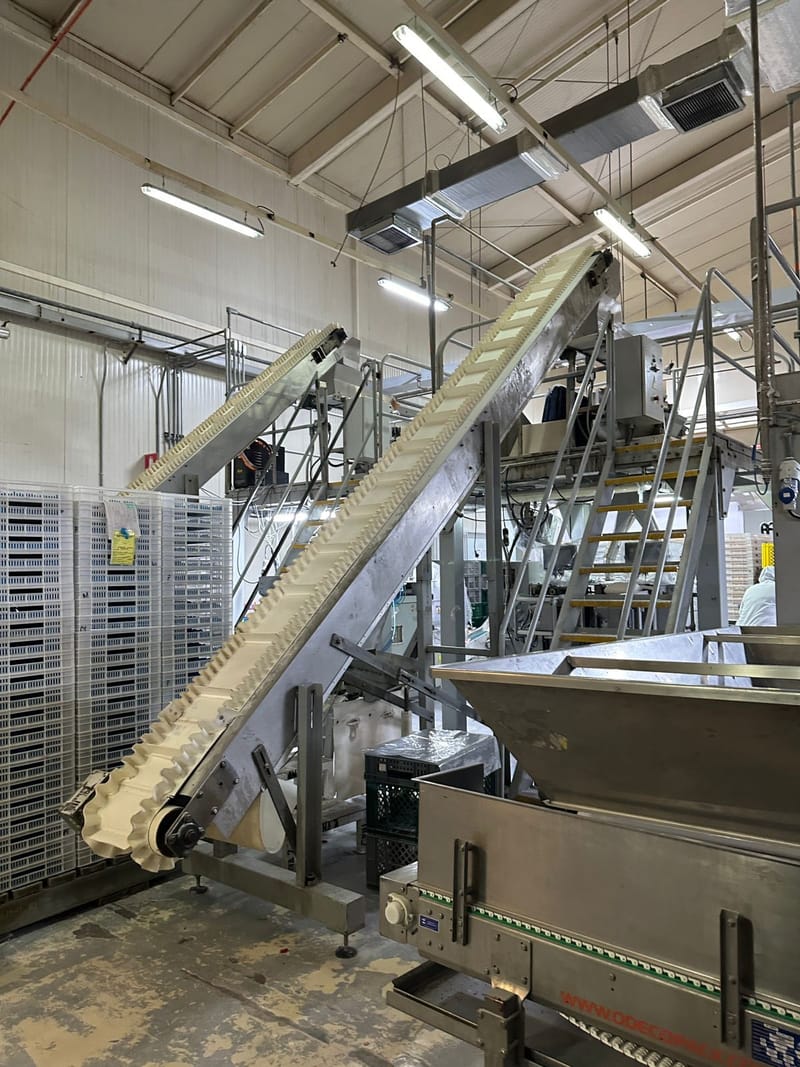 Fabricacion De Transportadores 