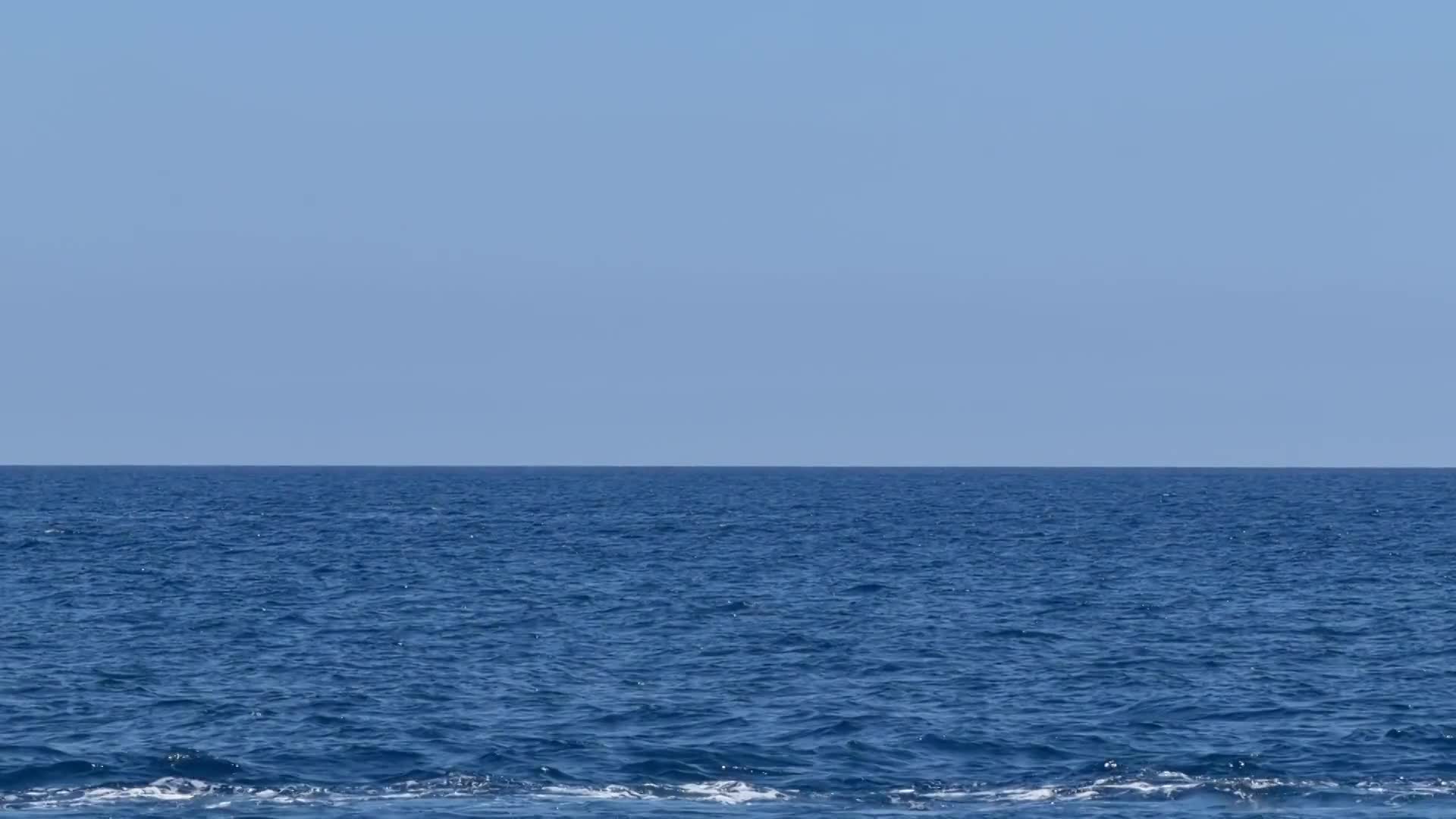 Our Shuttle thumbnail