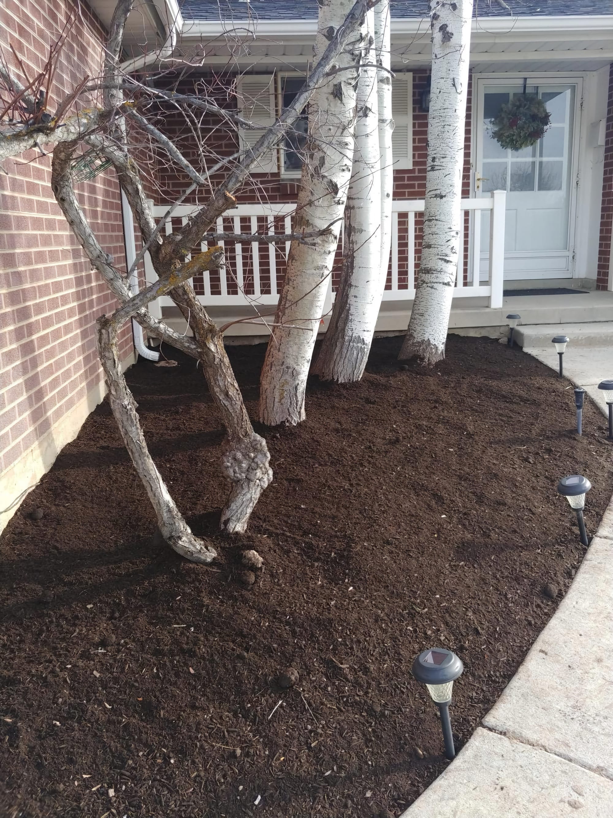 Mulch Installation