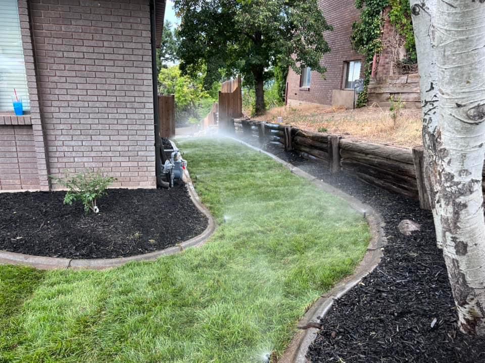 Sod Installation