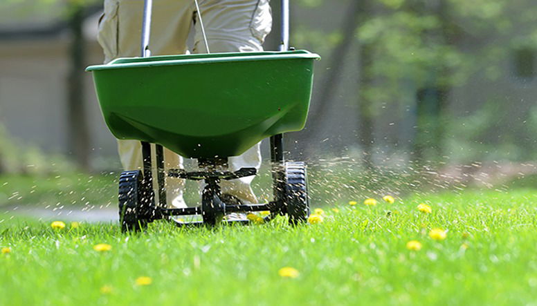 Lawn Fertilization