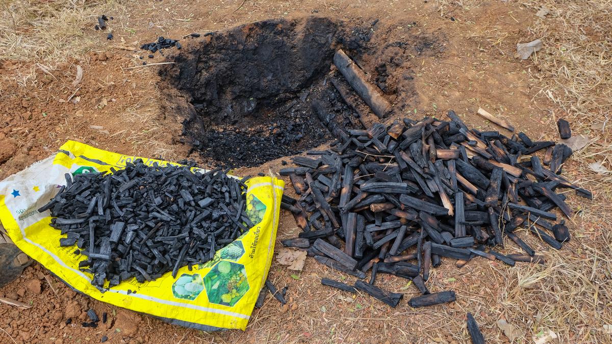 What is the potential of biochar?