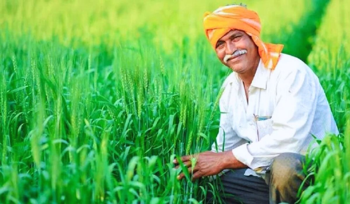बिहार में इन किसानों को नहीं मिलेगा ‘पीएम सम्मान निधि योजना’ का लाभ, नई गाइडलाइन जारी