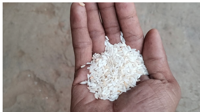 World Food Day 2025: A hungry world knows no borders