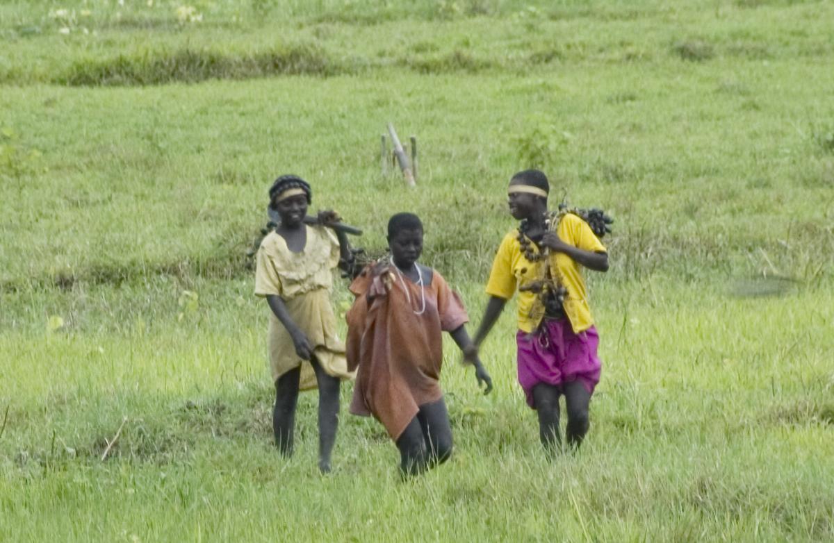 Reaching Jarawa Tribe of Andaman Islands for Census Will Not Be Tough: Experts