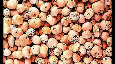 Discovery of Medicinal Compound in Makhana by Bihar Agricultural University