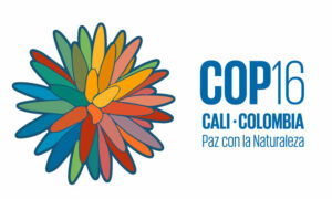 From Geneva to Cali | International Geneva @ UN Biodiversity Conference