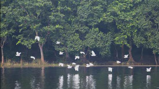 Two wetlands from Bihar get Ramsar tag