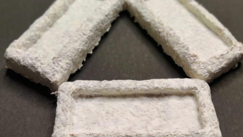 Researchers at IIT-Madras develop agricultural waste-based packaging material