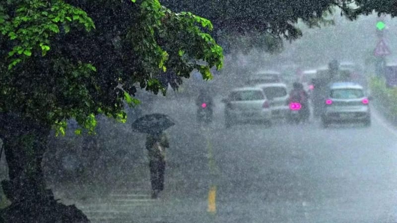 IMD Predicts Heavy Rainfall Across Several States; Thunderstorms Likely in Parts of East and North India