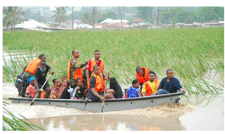Africa’s climate adaptation: How Tanzania is transforming flood zones into resilient green spaces
