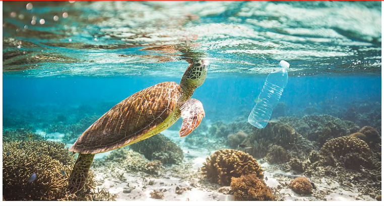 How microbes could help solve the world’s plastic pollution crisis