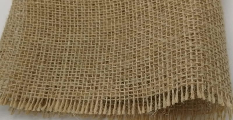 India bans imports of jute products and ropes from Bangladesh through land routes with immediate effect