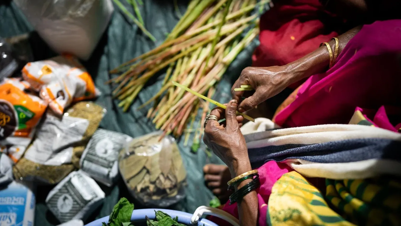 Wild Foods Festival in Mumbai