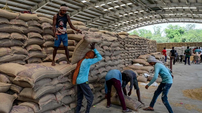 Unemployment rate at 5.1%, increase in women labour force: PLFS data show