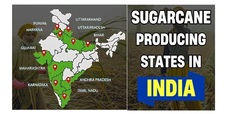 Uttar Pradesh: India’s Largest Sugarcane Producing State