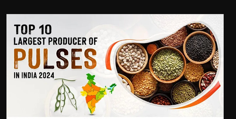 Top 10 Largest Pulses Producing States in India 2025