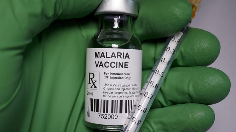 ICMR seeks collaboration for malaria vaccine production through tech transfer