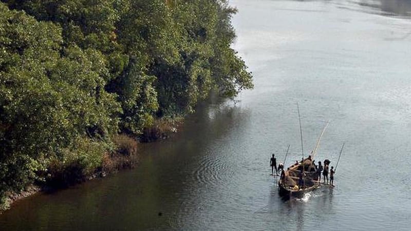 Microplastics threaten Goa’s estuarine fisheries, human consumers