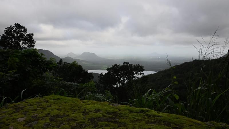 IUCN puts Western Ghats, two national parks on ‘significant concern’ list
