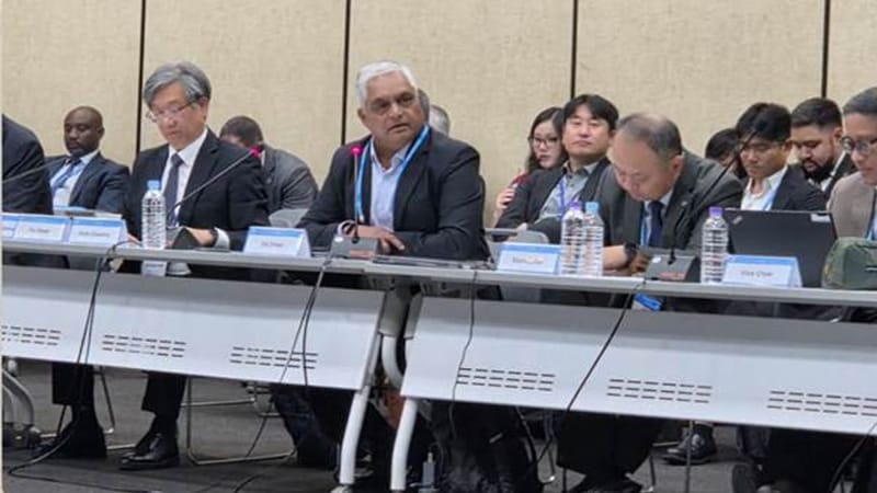 India elected co-chair of UN Global Geospatial Committee for Asia-Pacific