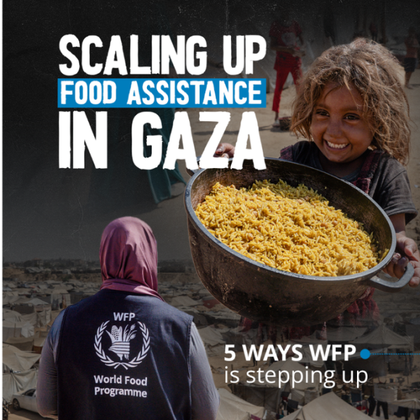 UN Agency Increases Food Deliveries to Gaza, Warns Needs Still Unmet