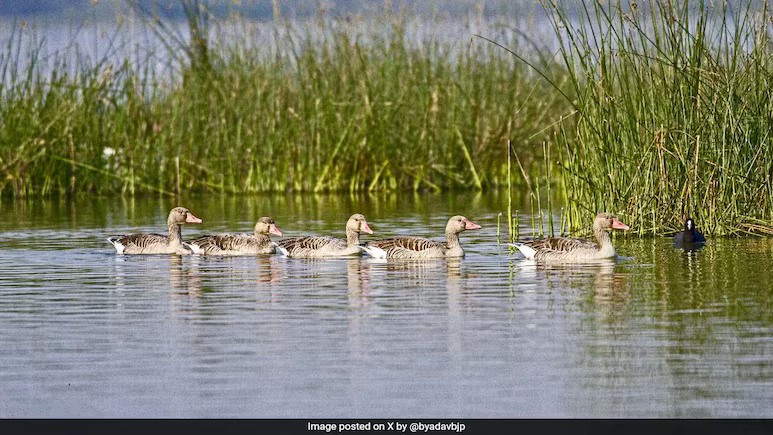 Two Wetlands from Bihar Take Indian Ramsar Sites to 93