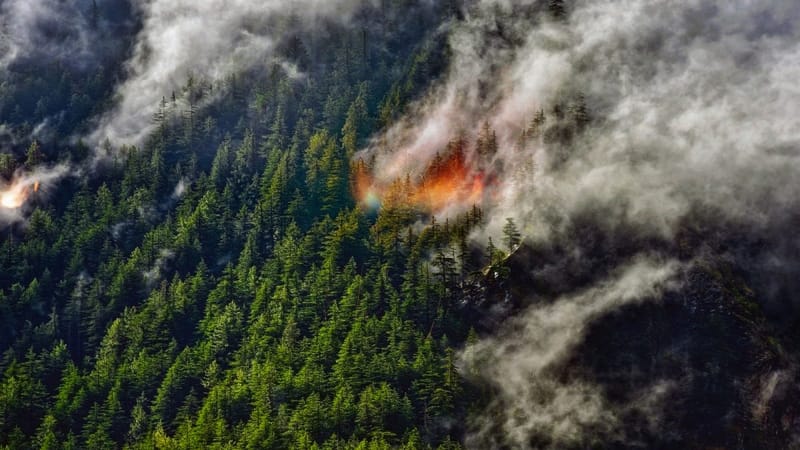 Rain Helps Contain Wildfire in New Zealand’s Tongariro National Park