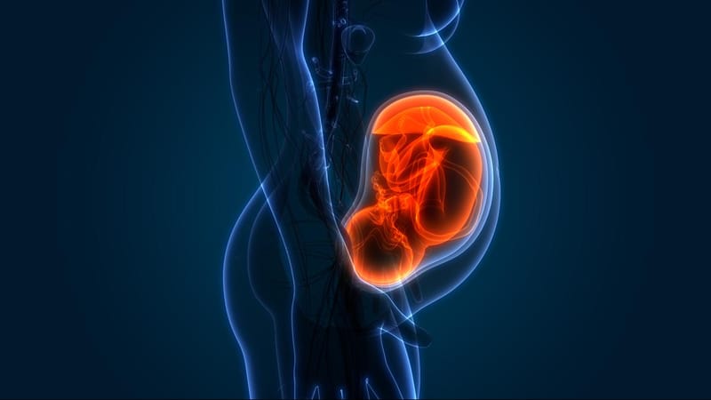 Robot wombs and real progress of fertility treatments