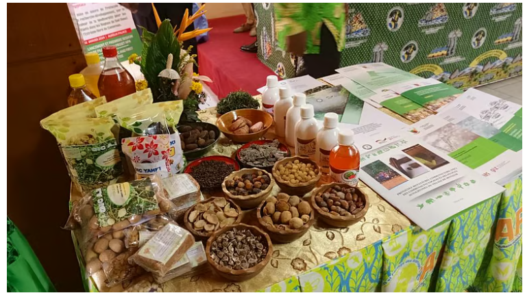 Cameroon Adopts Nagoya Protocol to Benefit from its Rich Biodiversity