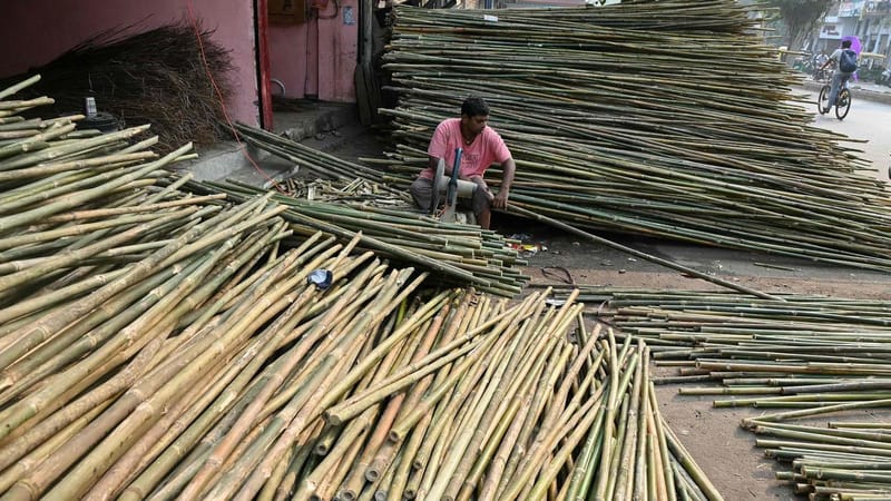 Fossil evidence of bamboo thorniness during Ice Age found in Manipur